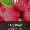 Табак Puer - Garden raspberry (Садовая малина) 100 гр
