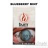 Табак Burn - Blueberry Mint (Черника с мятой) 100 гр
