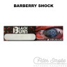 Табак Black Burn - Barberry Shock (Кислый барбарис) 25 гр
