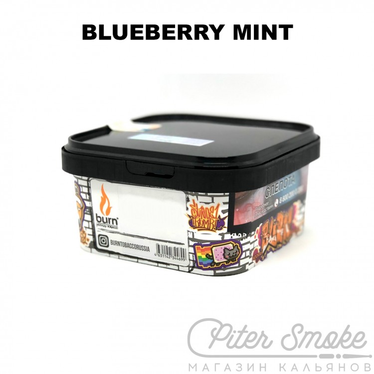 Табак Burn - Blueberry Mint (Черника с мятой) 200 гр